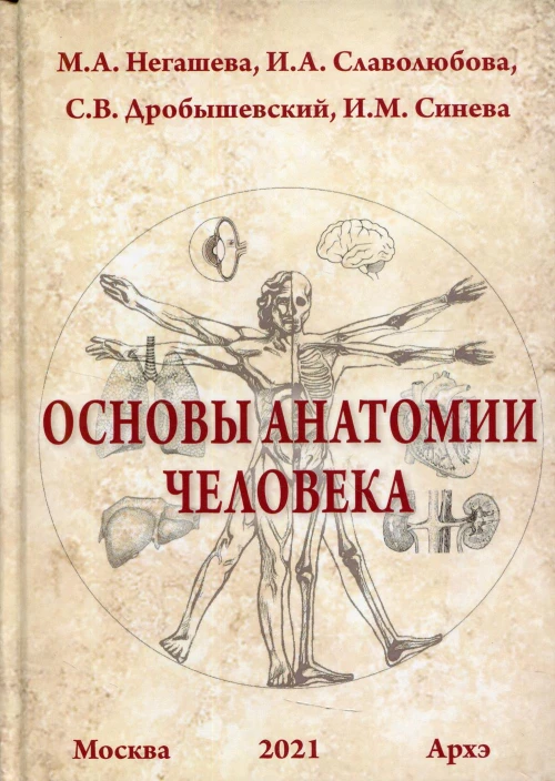 Основы анатомии человека. Дробышевский С.В., Негашева М.А., Слаболюбова И.А.