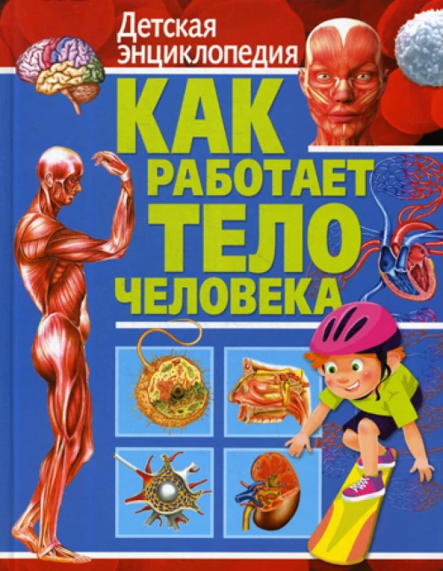 Как работает тело человека. Детская энциклопедия.