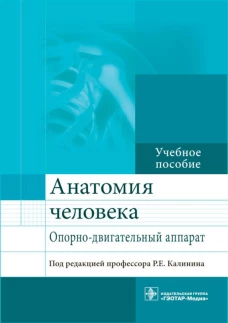 Анатомия человека. Опорно-двигательный аппарат: Учебное пособие. Андреева И.В., Калинин Р.Е., Сучков И.А