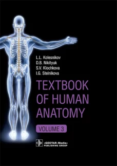 Textbook of Human Anatomy. In 3 vol. Vol. 3: Nervous system. Esthesiology: на англ.яз. Колесников Л.Л., Никитюк Д.Б., Клочкова С.В.