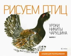 Рисуем птиц.Уроки Никиты Чарушина