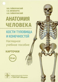 Анатомия человека. Кости туловища и конечностей (карточки + кольцо для стяжки карточек). Гайворонский А.И., Гайворонский И.В., Ничипорук Г.И