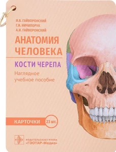 Анатомия человека. Кости черепа (карточки + кольцо для стяжки карточек). Гайворонский А.И., Гайворонский И.В., Ничипорук Г.И