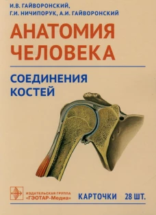 Анатомия человека. Соединения костей. Карточки: наглядное учебное пособие. Гайворонский А.И., Гайворонский И.В., Ничипорук Г.И.