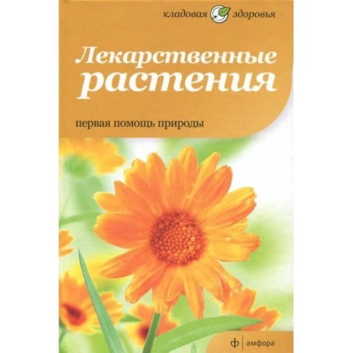 Лекарственные растения. Первая помощь природы