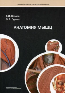 Анатомия мышц: Учебное пособие. Гурова О.А., Козлов В.И.