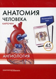 Анатомия человека: Карточки. (45шт). Ангиология. Сапин М.Р., Николенко В.Н., Тимофеева М.О.