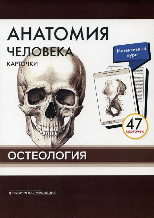 Анатомия человека: карточки. (47 шт) Остеология: Учебное пособие. Сапин М.Р., Николенко В.Н., Тимофеева М.О.