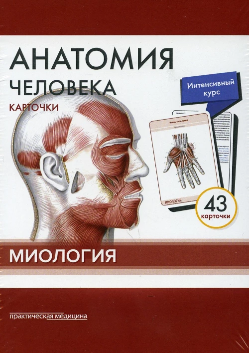 Анатомия человека: карточки (43 шт). Миология: Учебное пособие. Сапин М.Р., Николенко В.Н., Тимофеева М.О.
