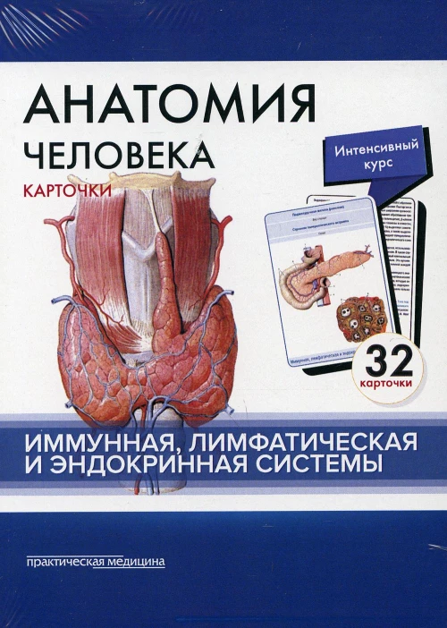 Анатомия человека: карточки. (32 шт). Иммунная, лимфатическая и эндокринная системы. Сапин М.Р., Николенко В.Н., Тимофеева М.О.