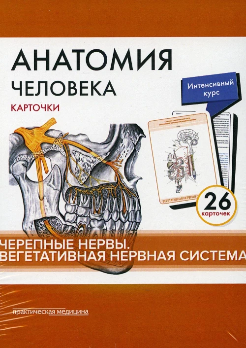 Анатомия человека: карточки. (26 шт). Черепные нервы. Вегетативная нервная система. Сапин М.Р., Николенко В.Н., Тимофеева М.О.