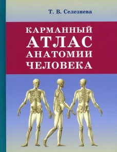 Карманный атлас анатомии человека. Селезнева Т.В