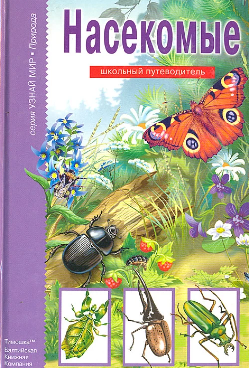 Насекомые