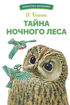 БШ. Тайна ночного леса