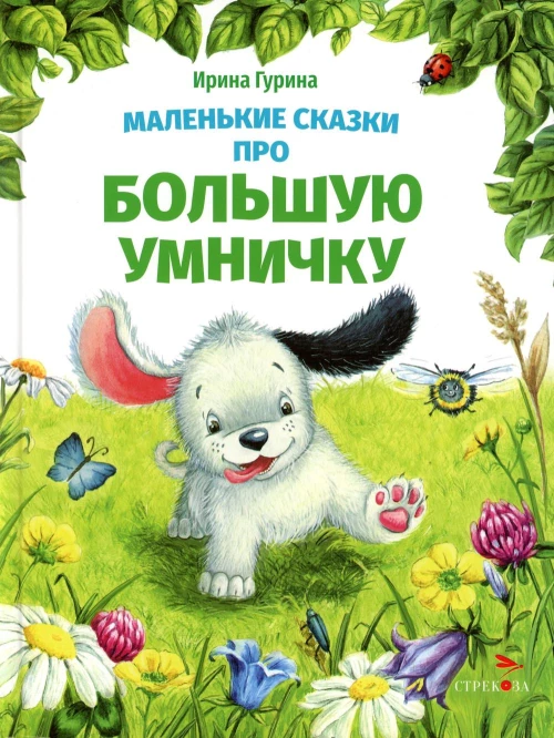 ДХЛ. Маленькие сказки про большую умничку