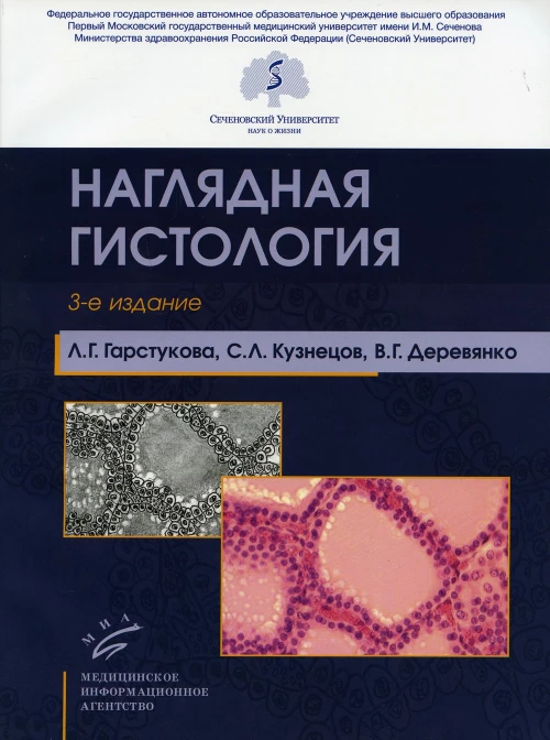 Наглядная гистология. 3-е изд., испр. и доп. Кузнецов С.Л., Гарстукова Л.Г., Деревянко В.Г.