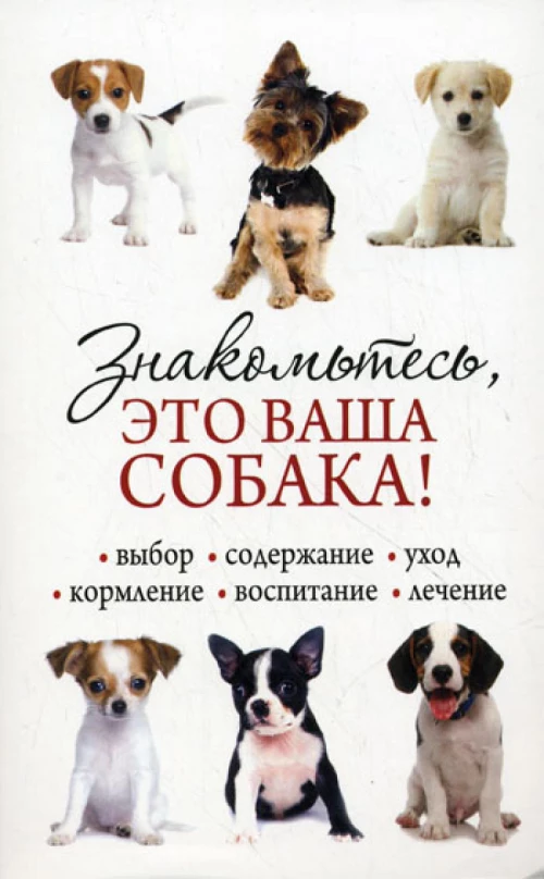 Знакомьтесь, это ваша собака. Бондарь Н.