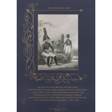 Одежда и вооружение гарнизонов,.... в состав войск не вошедших, с 1801 по 1825 год