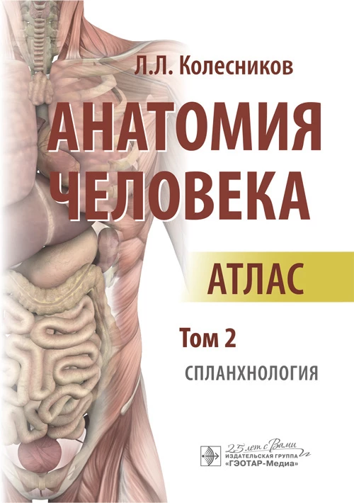 Анатомия человека : атлас : в 3 т. Т. 2. Спланхнология / автор-составитель Л. Л. Колесников. — М. : ГЭОТАР-Медиа, 2018. — 672 с. : ил