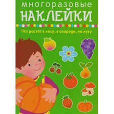 Что растет в лесу, в огороде, на лугу