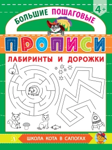 БППР Лабиринты и дорожки