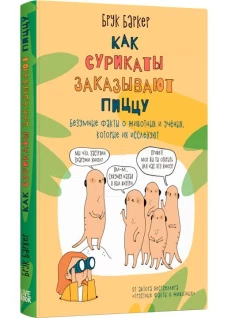 Как сурикаты заказывают пиццу. Безумные факты