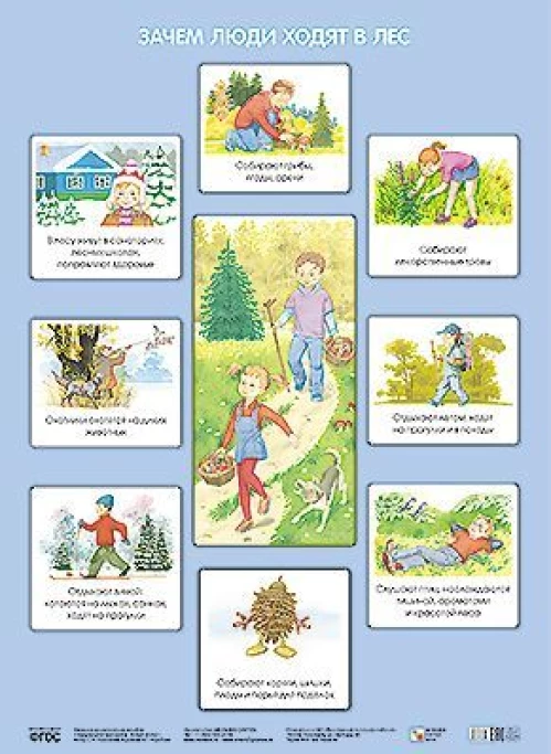 ПЛ Зачем люди ходят в лес
