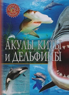 Акулы, киты и дельфины