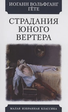 Страдания юного Вертера