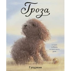 Гроза