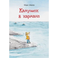 Камушек в кармане