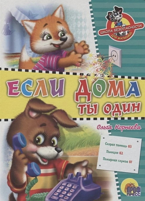 Школа безопасности. Если дома ты один