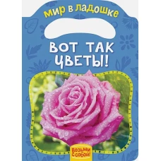 Вот так цветы! (МвЛ)