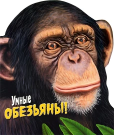 Дикие животные. Умные обезьяны!