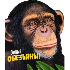 Дикие животные. Умные обезьяны!