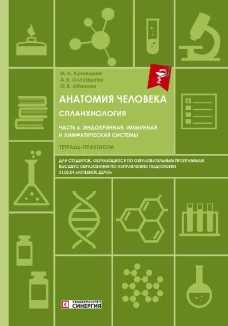 Анатомия человека: Спланхнология Ч. 6: Эндокринная система, иммунная и лимфатическая системы: Тетрадь-практикум