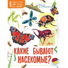 Какие бывают насекомые?