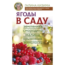Ягоды в саду. Земляника, смородина, малина, крыжовник, жимолость