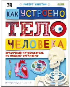 Удивительные энциклопедии. Как устроено тело человека. Красочный путеводитель по нашему организму