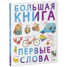 Первые книжки малыша. Большая книга. Первые слова