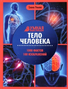 Тело человека: энциклопедия дп