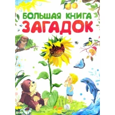 Большая книга загадок