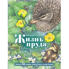 Жизнь пруда