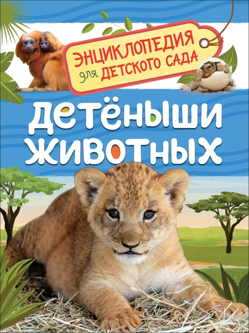Детеныши животных