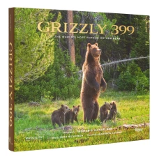 Grizzly 399: The World&#039;s Most Famous Mother Bear