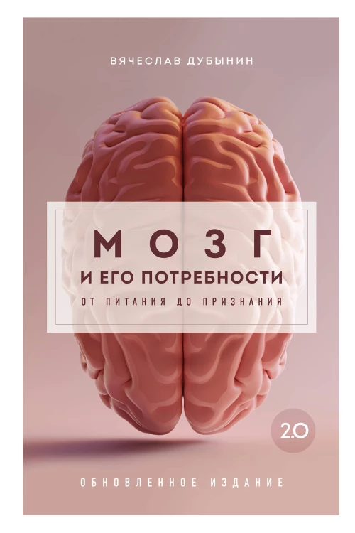 Мозг и его потребности 2.0. От питания до признания