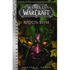 World of Warcraft. Ярость Бури