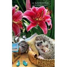 Блокнот для людей и ежей (лилии). 115х180мм, мягкая обложка, 64стр.