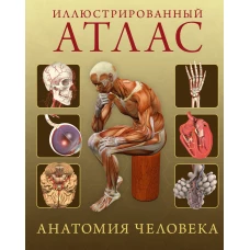 Иллюстрированный атлас. Анатомия человека