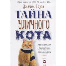 Тайна уличного кота